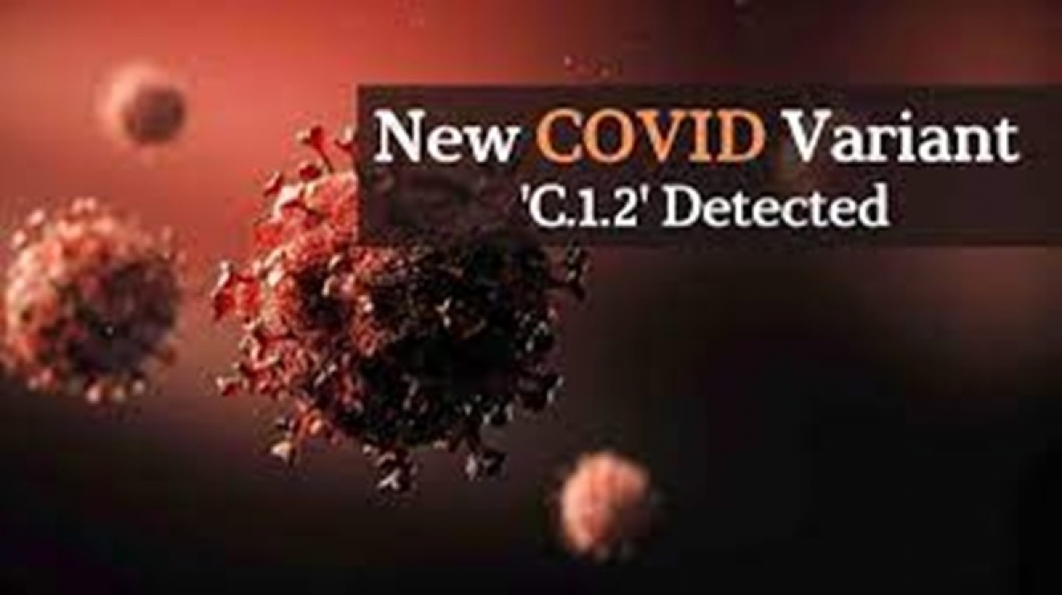 WHO khẳng định biến thể C.1.2 của SARS-CoV-2 không có nguy cơ lây lan mạnh như lo ngại